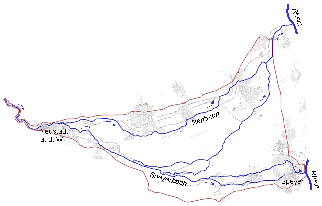 Komplexes Gewässersystem in der Rheinebene