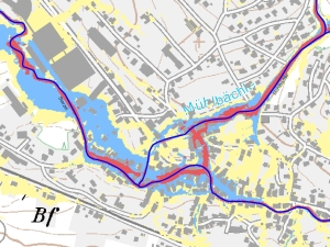 Die Analyse des Hangwasserabflusses mit HYDRO_AS-2D ermöglicht die Lokalisierung von Gefahrenzonen (rot eingefärbt).