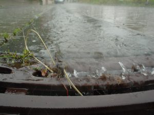 Niederschlagwasser