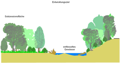 Naturnah gegliedertes Profil (Quelle: Büro Koenzen)