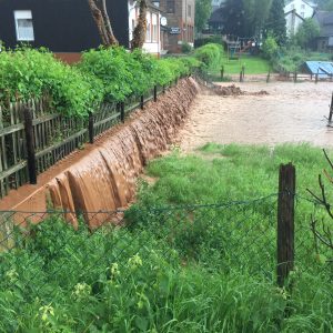 Wir überzeugten die Stadt Grevenbroich mit