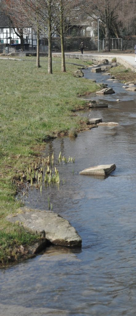 Klimaanpassungskonzept für den Rheinisch-Bergischen Kreis