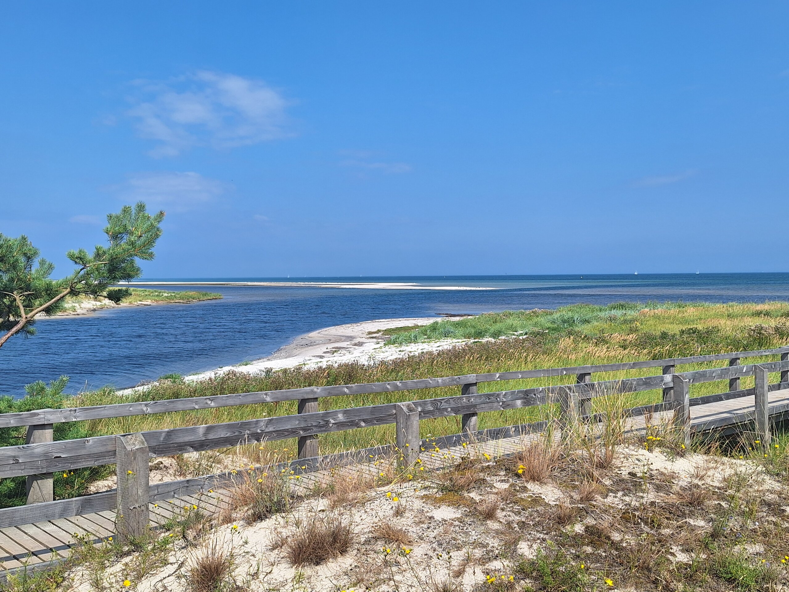 Küstenschutz auf dem Darß