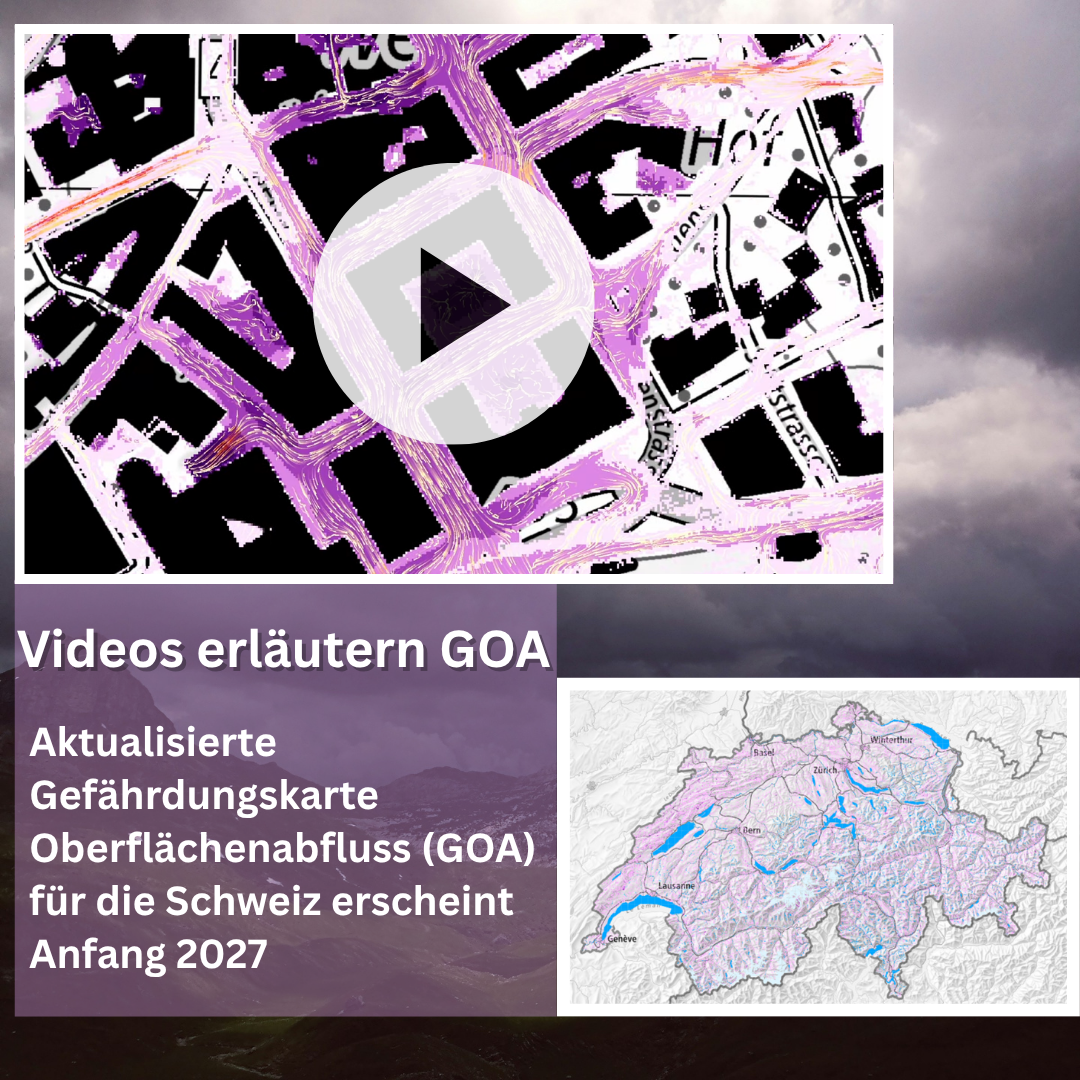 Neue Videos zur GOA