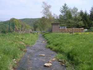 Pegel Schönau vor dem Hochwasser im Juli 2021